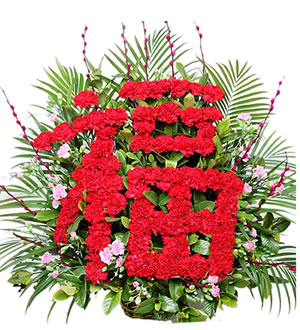 福如东海-99支红色康乃馨插成“福”字