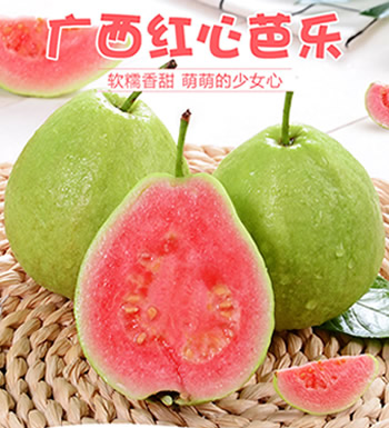 广西红心芭乐番石榴-精选好果
