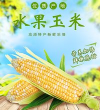 水果玉米 - 9斤 皮薄肉厚，颗粒饱满，香甜脆嫩