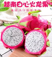 越南火龙果 - 香甜多汁，果肉细腻