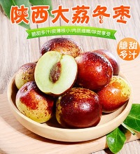 冬枣 - 脆甜多汁 5斤装