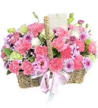 妈妈 节日快乐 - 粉色康乃馨 洋桔梗 小翠菊
