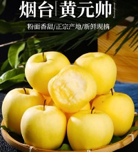 黄金帅粉面苹果 - 粉面香甜 果肉细沙棉密