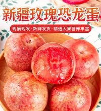 新疆恐龙蛋 李子 - 脆爽多汁 酸甜可口